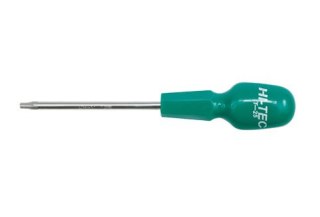 WKRĘTAK HI-TEC SECURITY T25*100MM